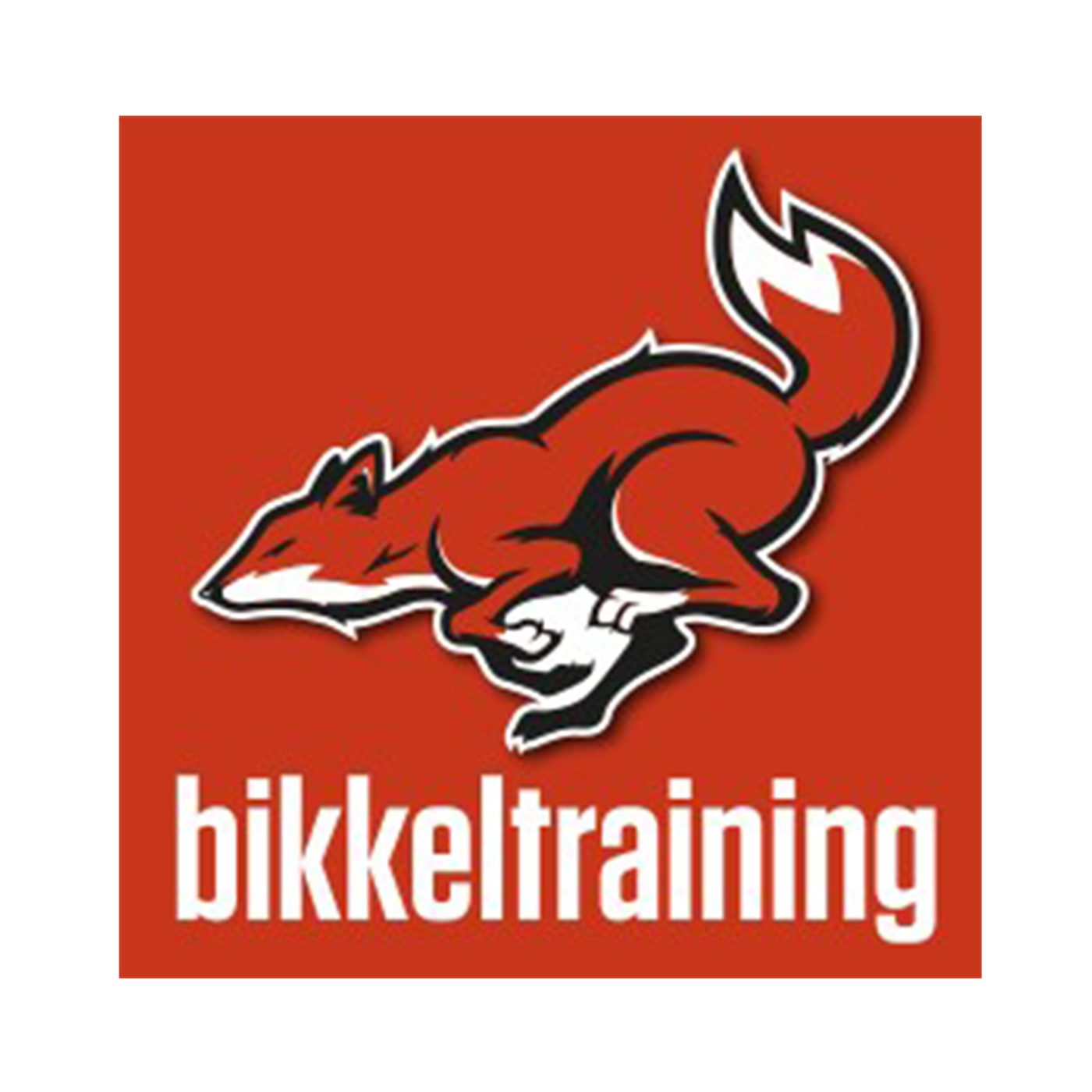 Bikkeltraining